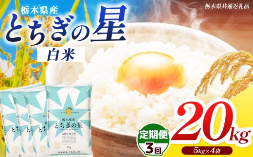 【栃木県共通返礼品】【先行予約】【令和8年度産】【定期3回】 訳あり 栃木県産 とちぎの星 20kg |ふるさと 納税 とちぎの星 お米 精米 白米 玄米 大粒 共通返礼品 送料無料 那珂川町 栃木県