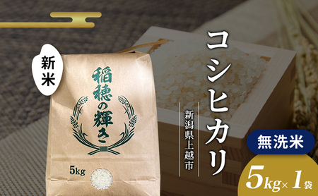2026年4月から出荷開始 |  無洗米 令和7年 新潟県上越市産 コシヒカリ 5kg 5キロ お米 コメ おこめ こしひかり 新潟