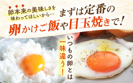 【全12回定期便】てつやとのりこの玉子 【 20個 】 糸島市 / 板垣ファーム 卵 たまご 鶏卵[AWD018]