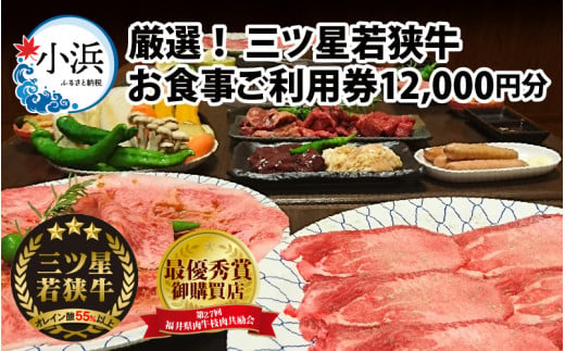 三ツ星若狭牛 五味焼のお食事ご利用券12,000円分【お食事券 テイクアウト 焼肉 三ツ星 若狭牛 ブランド牛 和牛 厳選  A-5 等級 ランク 精肉 チケット】