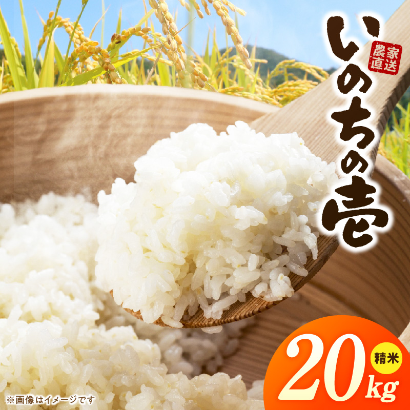 R7年産　「いのちの壱」（20kg）＜農家直送＞ ［208K12］ 希少米 20kg 米 精米 白米 ご飯 国産 産地直送 甘い 粘り強い もちもち お取り寄せ こだわり米 愛知県 小牧市 送料無料