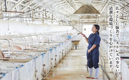 東村産アグーブランド豚『パイとん』生姜焼き用 600g（バラ）