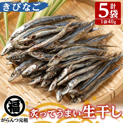 鹿児島県阿久根市産生干し「きびなご」(計5袋・1袋40g)国産 魚介 干物 ひもの キビナゴ がらんつ干物【マルフク川畑水産】a-12-150