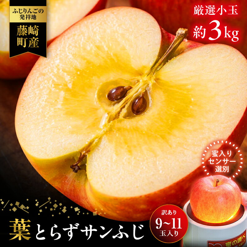 【ふるさと納税】＼期間限定寄附額／【先行予約】葉とらずサンふじ 厳選 小玉 約3kg 【アップルアーク】 ご家庭用りんご 訳あり 青森リンゴ 青森林檎 青森県産 果物 フルーツ F41-0157