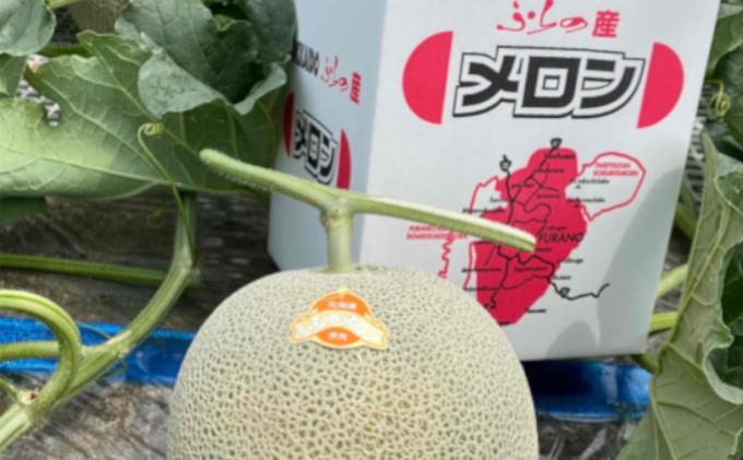 【2024年7～9月連続お届け】3品種 ふらの メロン 定期便 ≪計3玉≫ 北海道 富良野市 (高見農園) メロン フルーツ 果物 新鮮 甘い 贈り物 ギフト 道産 ジューシー おやつ ふらの ブラン