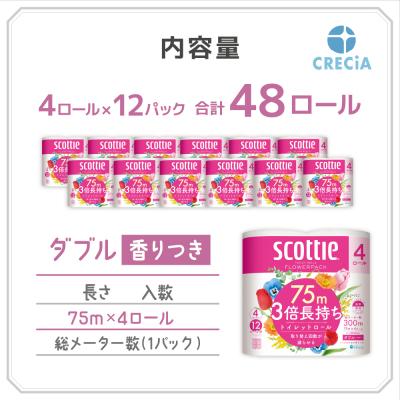ふるさと納税 岩沼市 【3品別配送】トイレットペーパー&ティッシュ&キッチンタオル[No.5704-0575] |  | 01