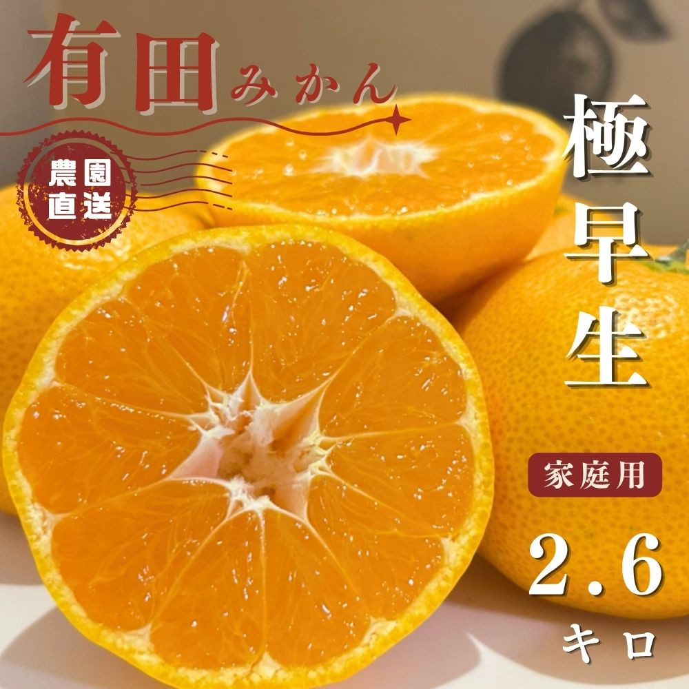 【ふるさと納税】有田みかん 極早生 2.6kg（箱込み3kg）家庭用 S～Lサイズ おまかせ【2026年11月発送】柑橘 フルーツ みかん 産地直送 お取り寄せ 送料無料