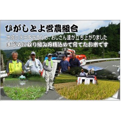 ふるさと納税 山添村 【令和7年産】里山の粒 玄米 10kg(5kg×2袋) ひがしとよ里山米 |  | 01