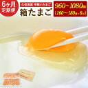 【ふるさと納税】 定期便 6回 久住高原 平飼いたまご 箱たまご 10kg×6ヶ月 合計60kg 960～1080個 箱 卵 たまご タマゴ 玉子 生卵 鶏卵 大分県産 九州産 冷蔵 送料無料