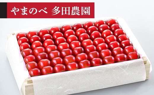 
            【令和8年産】 やまがた紅王 特選 桐箱詰 1100g やまのべ多田耕太郎のさくらんぼ F2Y-4573
          