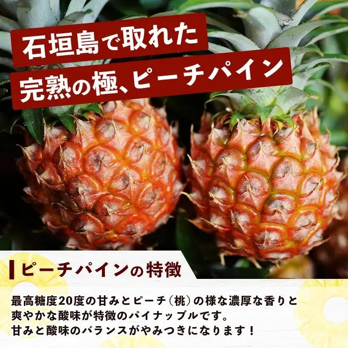 パイナップル好きにおすすめ！満足のパイナップル2品種定期便 《2027年4月～7月順次発送》