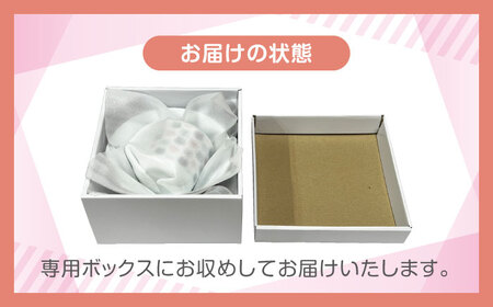 【美濃焼】MEAL Kids ネコ 麺鉢 カレー皿 マグカップセット【大東亜窯業】楕円皿 子供用 鉢 ボウル 皿 プレート 楕円 ラーメン カレー パスタ キッズ 食器 男の子 女の子 動物 可愛い 