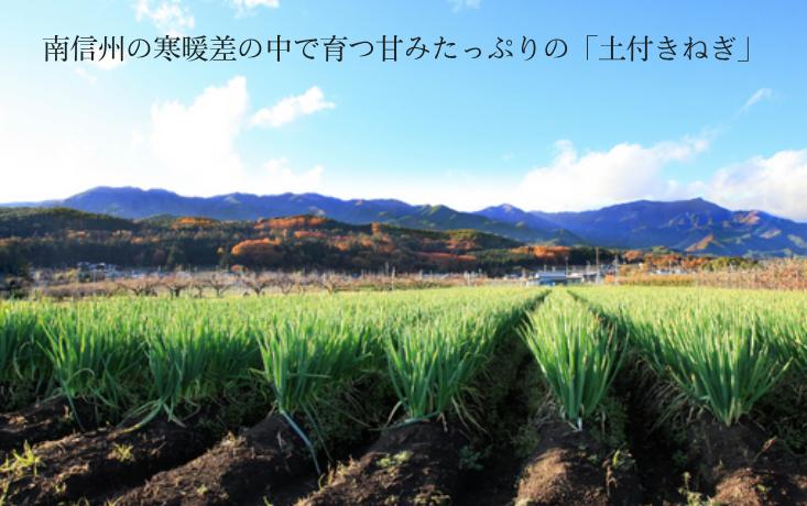 南信州で育ったネギのうまさをぜひ知ってください！