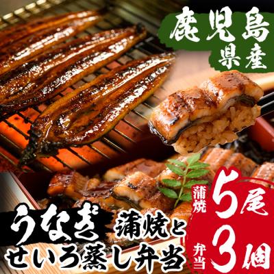 ふるさと納税 いちき串木野市  国産うなぎ(鹿児島県産うなぎ)蒲焼 大 5尾 約800gとせいろ蒸し弁当(280g×3個)