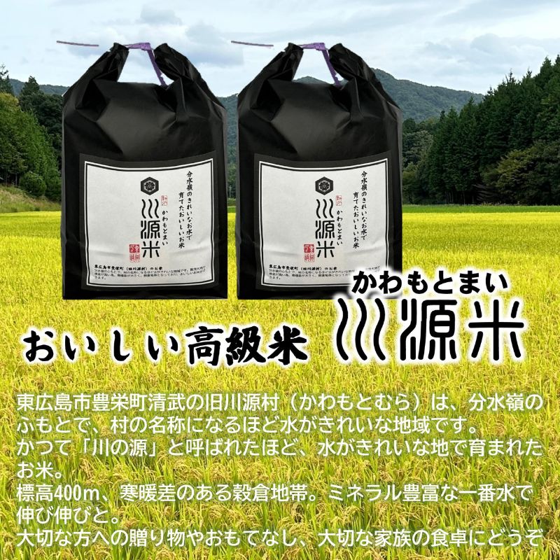 川源米　令和6年産こしひかり　直前精米　10kg(5kg×2袋)