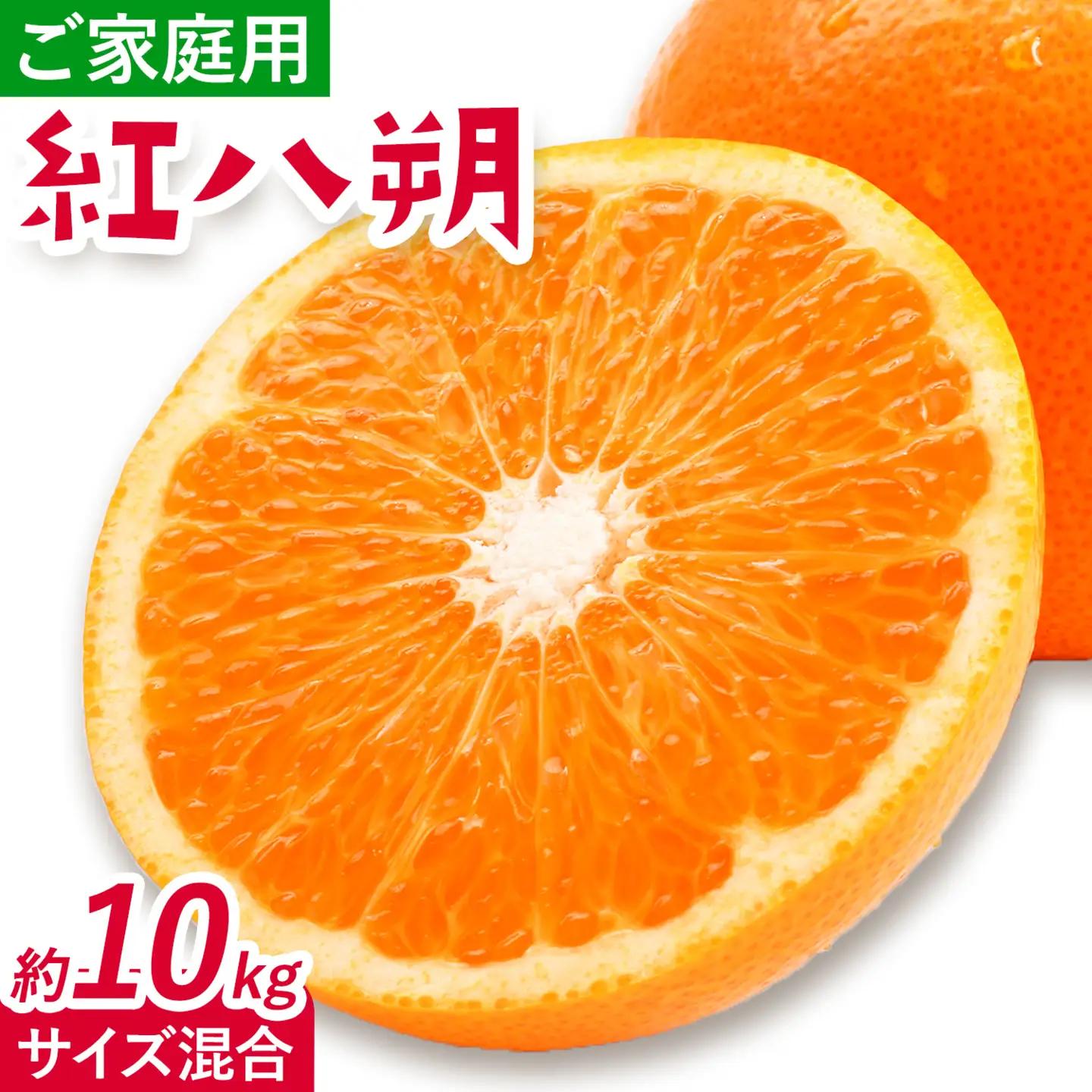 みかん 紅八朔 ご家庭用 10kg サイズ混合 八朔 