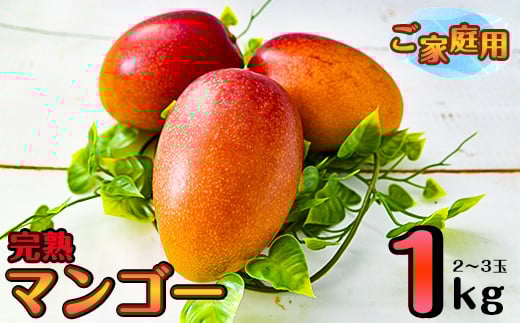 杉田農園 訳あり 西都市産 ご家庭用完熟マンゴー（２玉～3玉） 生産者直送 ＜1.3-25＞【先行予約】2026年発送 宮崎マンゴー 果物 フルーツ 甘い