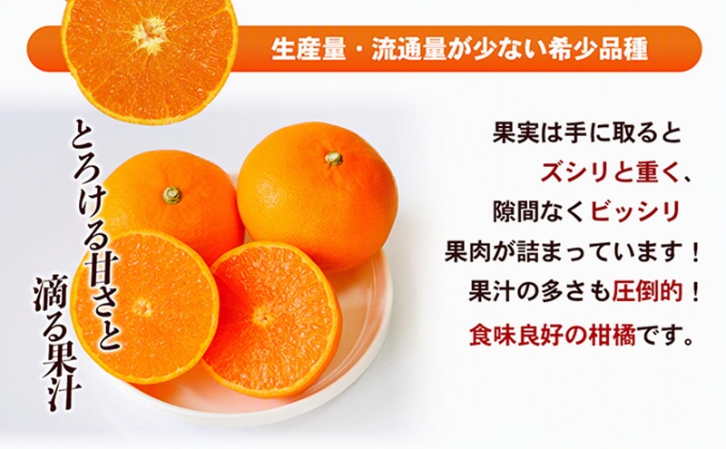 【数量限定 今季最終受付】愛媛県産せとか（ハウス）約2.7kg[50R0846] 【高島屋選定品】L～３Lサイズ 1月下旬頃～順次発送＜旬 化粧箱 ギフト 高級 甘い みかん    フルーツ＞[No.