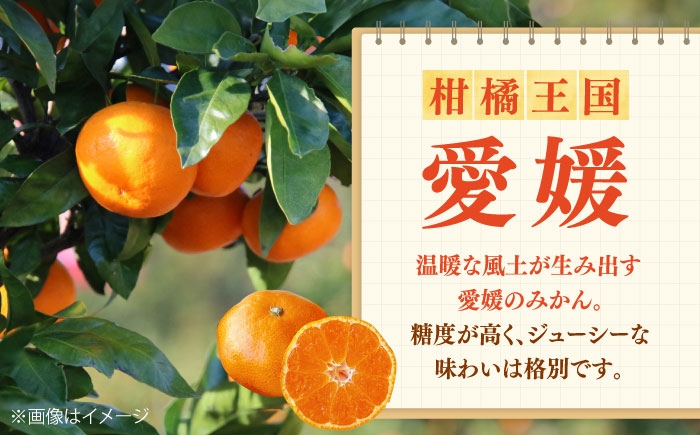 オレンジジュース みかんジュース ポンジュース 温州みかん 愛媛県産 みかん