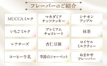MUCCAジェラート　18個セット_mk024-002