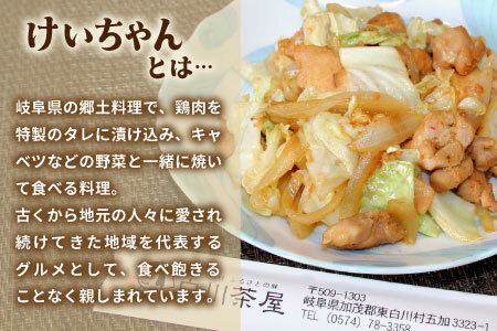 けいちゃん 2袋 手作り 郷土料理 鶏肉 もも肉 むね肉 ひね肉 親鶏 親鳥 味付け肉 味付き ごはんのおとも タレ おかず 簡単おかず