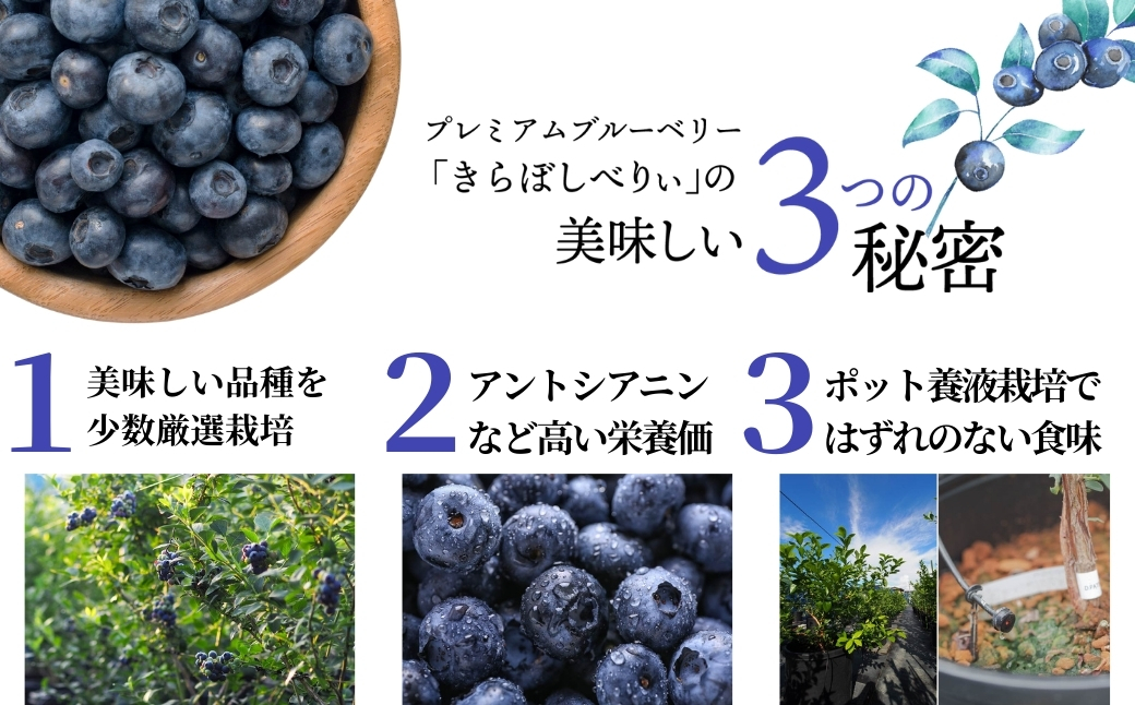 冷凍ブルーベリー５００ｇ×２袋