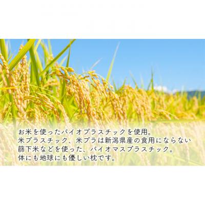 ふるさと納税 新潟市 もちもちとした触り心地 米プラ&テンセル 笹団子まくら 約28×12cm [54070596] |  | 01