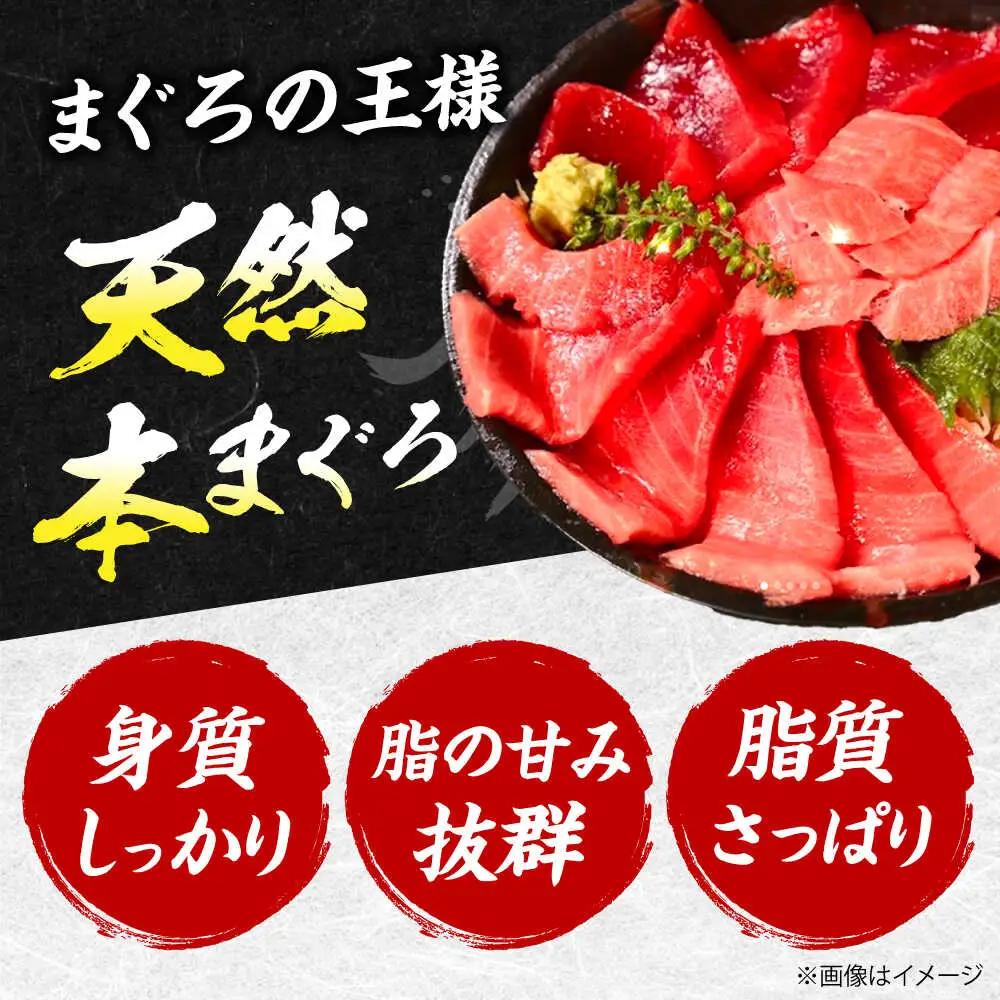 【全6回定期便】たね熟天然本まぐろ中トロ(320g)[AOCE032]マグロ