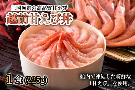 お手軽冷凍丼セット！ 「若狭牛ステーキ丼」「越前甘えび丼」【丼 どんぶり 若狭牛 ステーキ あまえび 甘海老 えび エビ 国産 和牛 コシヒカリ こしひかり グルメ 惣菜 ごはん 晩御飯 調理済み 簡