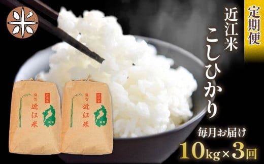 令和6年産 新米 こしひかり 定期便 10kg 全3回 白米 5㎏ × 2袋 3ヶ月 近江米 コシヒカリ 国産 お米 米 おこめ ごはん ご飯 白飯 しろめし こめ ゴハン 御飯 滋賀県産 竜王 ふるさと ランキング 人気 おすすめ