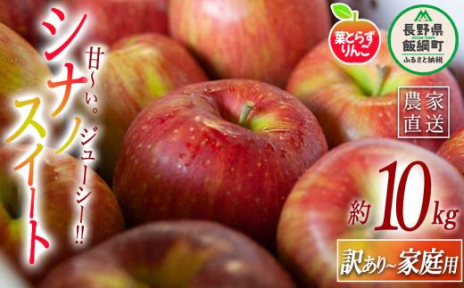 りんご 葉とらず シナノスイート 家庭用 〜 訳あり 10kg フレッシュフルーツミカズキ 2025年10月中旬頃から2025年10月下旬頃まで順次発送予定 令和7年度収穫分 傷 不揃い リンゴ 林檎 果物 フルーツ 信州 長野 28500円 予約 農家直送 長野県 飯綱町 [1652]