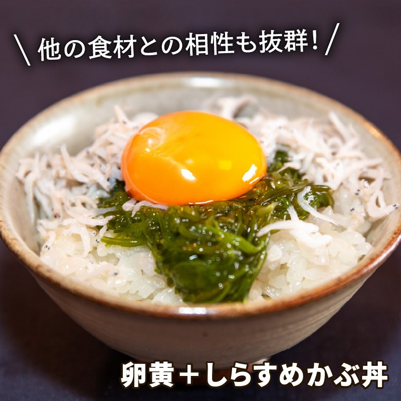 イカ写真追加予定