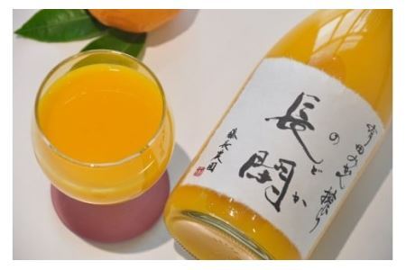 199. 【数量限定】有田市認定みかんジュース「長閑(のどか)」6本セット(B199-2)