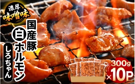 国産豚 白ホルモン しろちゃん 濃厚味噌味 300g × 10p (計3kg) 【豚 豚肉 ぶた ホルモン ほるもん 豚腸 味噌 濃厚 おつまみ おかず 夜のおかず 夜ごはん 味付き 冷凍 国産】  [A-12436]