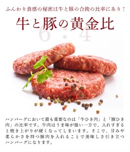 佐賀牛入り ハンバーグ 120g×20個( 佐賀牛ハンバーグ ハンバーグ 冷凍 ハンバーグ 大容量 ハンバーグ 柔らかハンバーグ ふんわりハンバーグ  ハンバーグ 大人気ハンバーグ みんな大好きハンバ