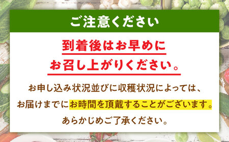 【9月下旬より順次発送】大洲産洗い里芋（水入り）500g×4袋 愛媛県大洲市/沢井青果有限会社 [AGBN033]野菜 里芋 さといも 
