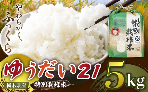 【定期便3回】栃木県矢板市産 ゆうだい21 5kg 特別栽培米 【先行予約】新米  |  栃木県 矢板市