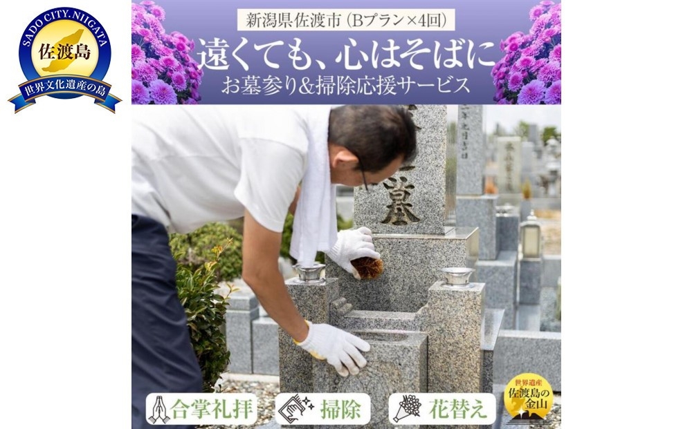 
                  【佐渡島内 お墓参り代行 プランB 年4回】合掌拝礼・花替え・墓石水洗い・簡易除草＋タクシー送迎（5,000円まで年1回付）事前確認必須 | 佐渡 お墓参り代行 墓参り代行 お墓掃除 墓石洗浄 除草 墓参 供養 お盆 お彼岸 命日 島外在住 にいがた さど 新潟県 佐渡市
                
