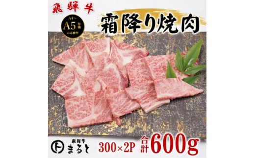 飛騨牛霜降り焼き肉 300g×2(合計600g)【1735699】