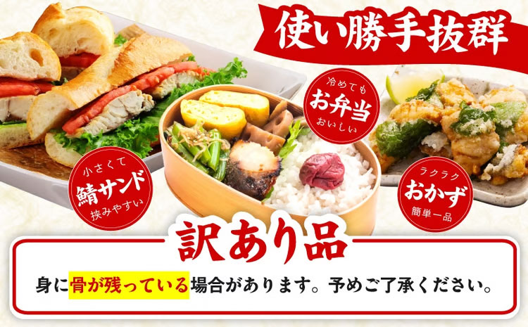 【定期便】塩さば 1kg（250g×4P）全6回【お弁当サイズ 生活応援 サバ 小分け 青魚 塩鯖 塩サバ 切身 塩焼き 焼きさば 焼き鯖 人気 冷凍 冷凍食品 おかず 惣菜 訳あり サイズ不揃い】 