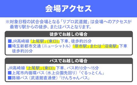 埼玉上尾メディックスホームゲーム観戦チケット1名分 (開催日時3月15日) バレーボール 観戦チケット 試合 メディックス 埼玉県 上尾市