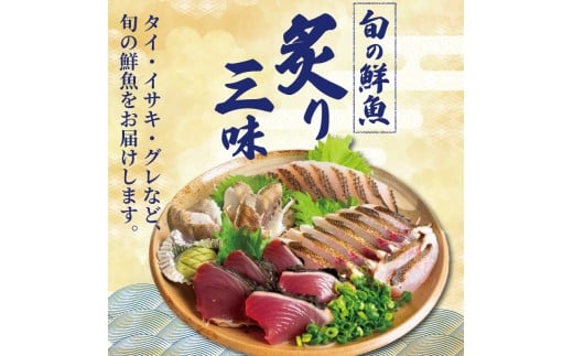 炙り三昧 BOX 2~3種盛り 合計 7~8人前 鯛 タイ イサキ グレ メジナ 刺身 刺し身 炙り 海鮮 魚介 寿司 丼 旬 ご飯に合う コメに合う 米に合う 高級 冷蔵 高知県 須崎市 須崎魚商人