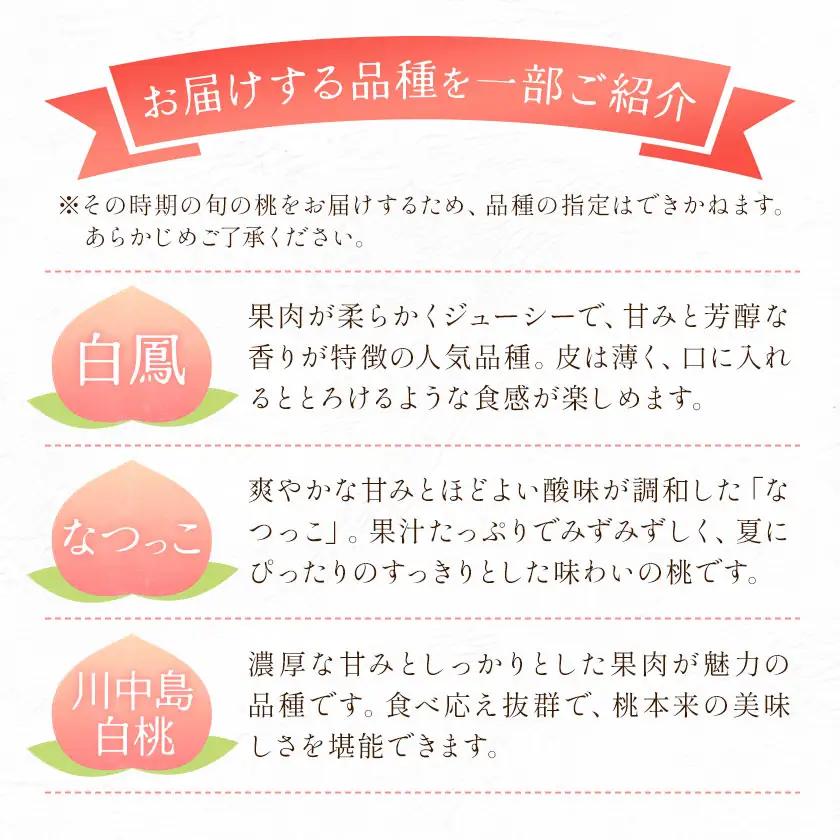 桃 秀品 モモ 4玉 株式会社農業福祉研究機構《6月下旬-8月上旬頃出荷》和歌山県 紀の川市 送料無料 フルーツ 果物 もも 白鳳 なつっこ 川中島白桃 旬 旬のフルーツ お取り寄せフルーツ