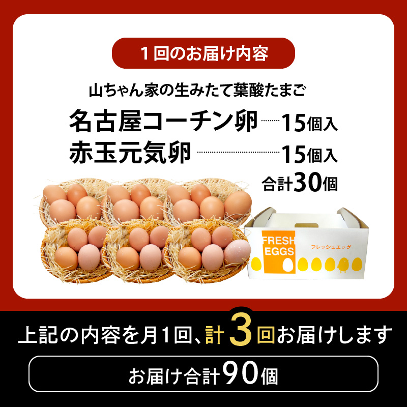 【3ヶ月定期便】【山ちゃん家の生みたて葉酸たまご】名古屋コーチン卵・赤玉元気卵 食べ比べセット（各15個 合計30個入り） 3ヶ月定期便 山ちゃん家 生みたて 葉酸たまご 名古屋コーチン卵 赤玉元気卵