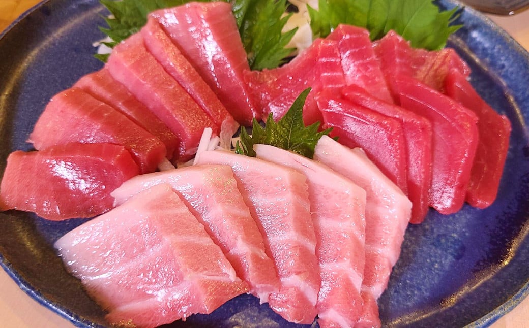 新鮮！長崎漁港発 活き〆本マグロ 中トロ500g ／ 魚 魚介 鮮魚 海鮮 鮪 マグロ まぐろ 本まぐろ 〆 中トロ 刺身 大将農園 長崎県 長崎市 【2025年9月下旬～12月下旬迄発送予定】
