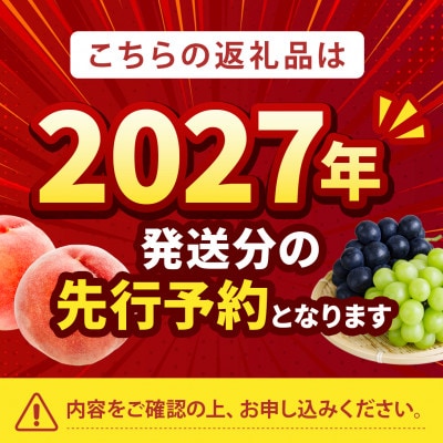 2027年発送先行受付【要人も絶賛する幻の果実】高糖度マンゴーネクタリンやみつきリピーター続出中【配送不可地域：離島・北海道・沖縄県・中国・四国・九州】