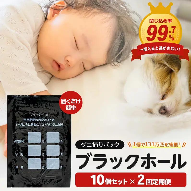 【2回定期便】ダニ捕り パック ブラックホール 10個入 ダニ ダニ取り
