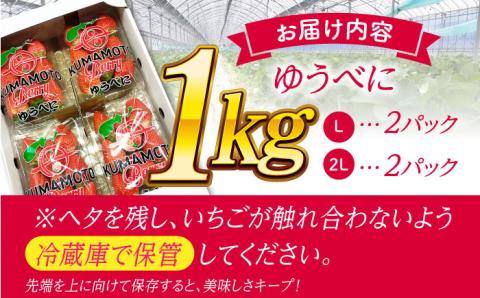 【先行予約】大粒いちご L～2L ゆうべに 1kg（計4pc）【熊本ベリー】フルーツ 果物 くだもの いちご イチゴ 苺 ゆうべに 大粒いちご 国産  [ZER001]