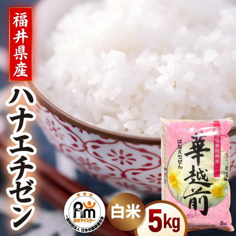 【ふるさと納税】【新米】令和7年産 米 5kg 精米 ハナエチゼン 《7日前後に出荷》福井県越前町産【白米 5キロ 華越前 はなえちぜん お米 ごはん 人気品種 こしひかり 血統品種 kome スピード発送 】