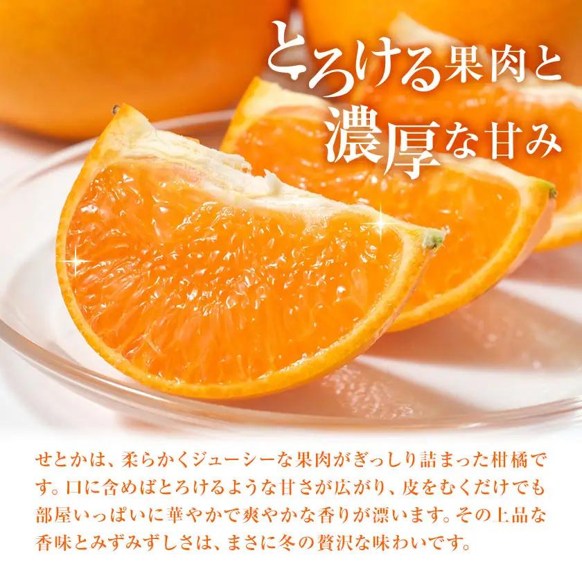 せとか 秀品 10kg